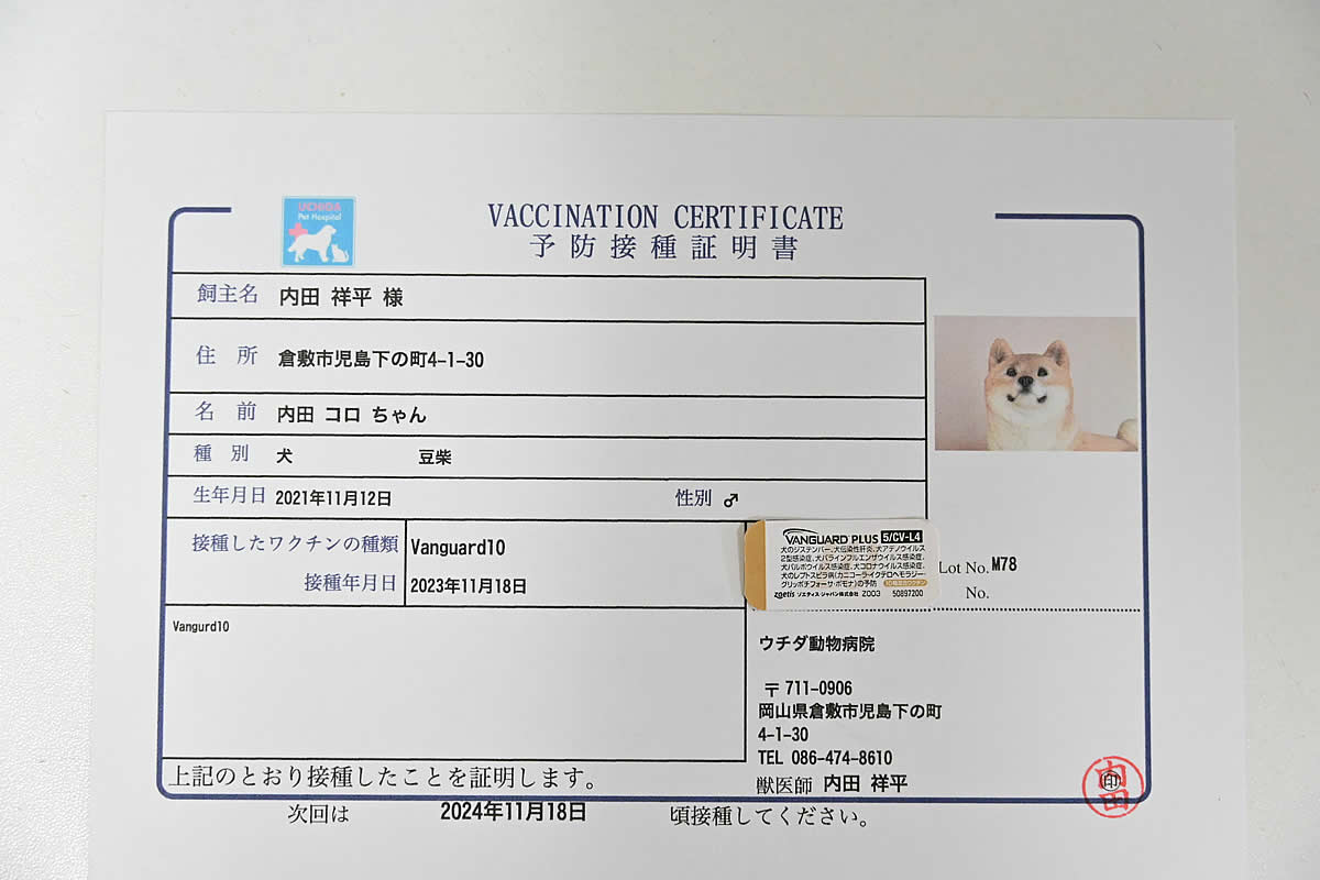 写真入り混合ワクチン接種証明書