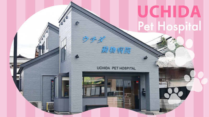 ウチダ動物病院 外観